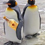 Expedición a la Antártida en busca de… ¡whisky!!
