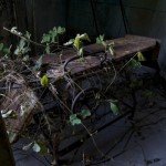 Abandonos. El complejo hospitalario de North Brother island. (Riverside Hospital)