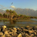 Planeta insólito. La isla de Socotra