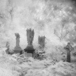 Cementerio de Abney Park, otro mundo en el centro de Londres.