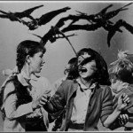El día en el que los pájaros atacaron a las personas