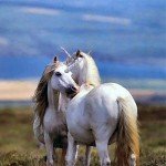 Seres fabulosos. El unicornio.