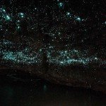 Planeta mágico. Las constelaciones de la cueva de Waitomo