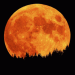 ¿La luna tiene dueño?